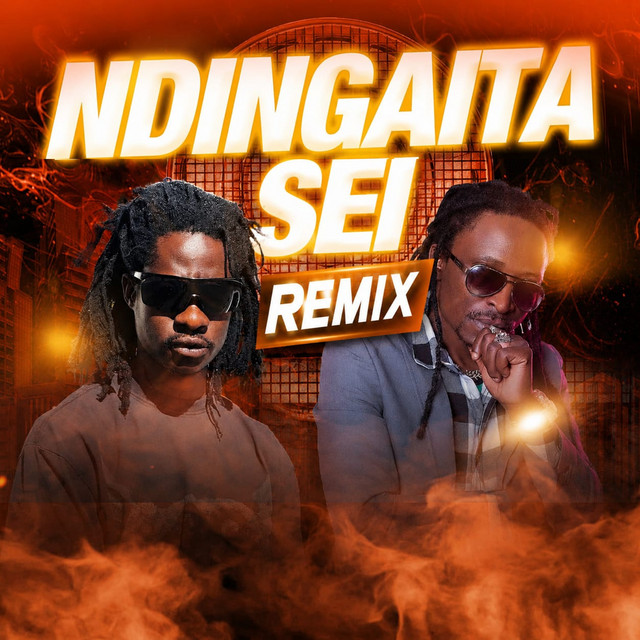 NDINGAITA SEI - Remix