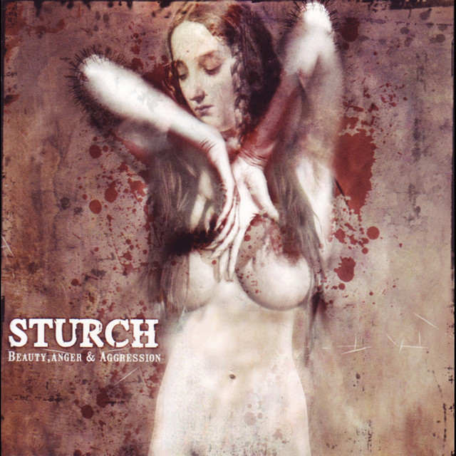 Beauty, Anger & Aggression cover art