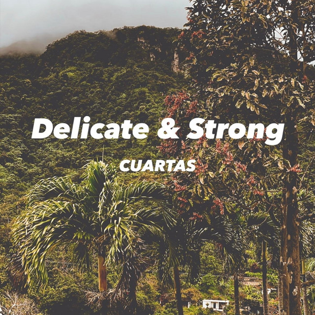 Delicate and Strong cover art