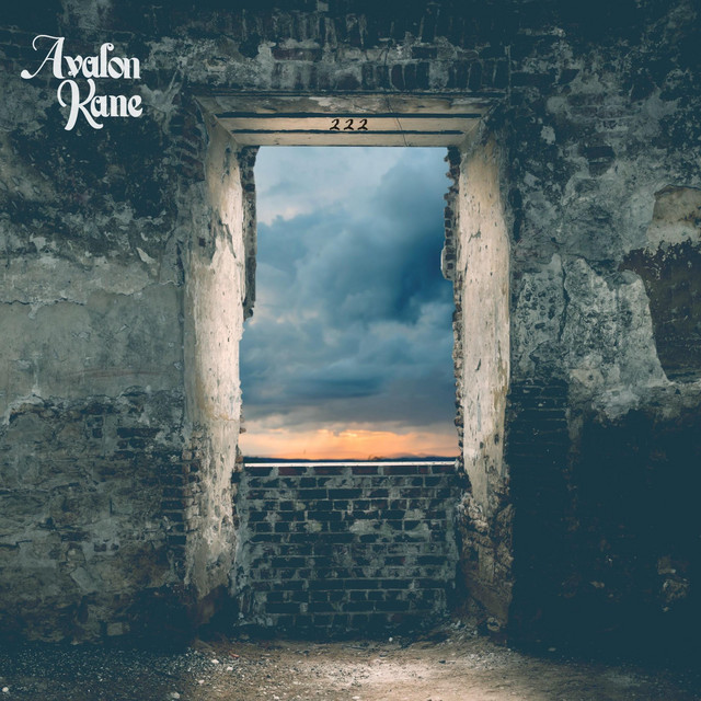222 cover art