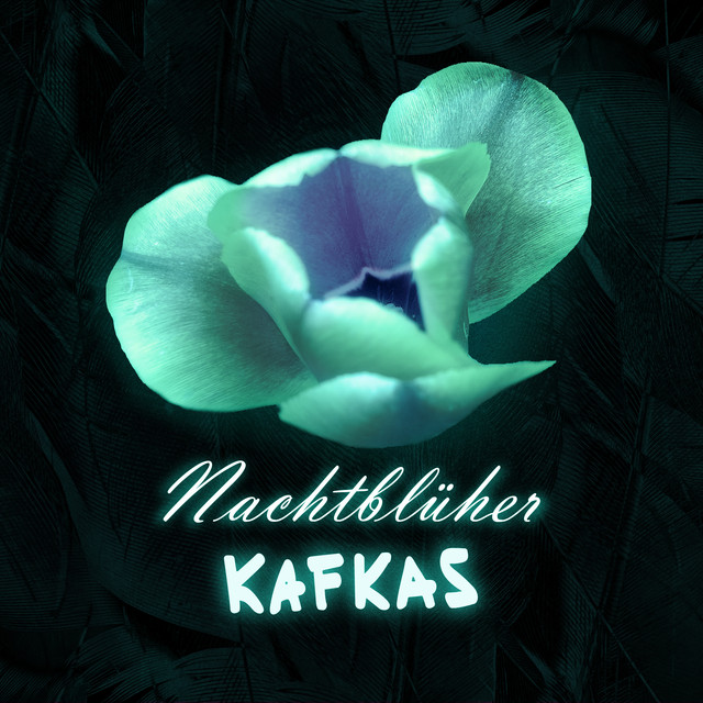 Nachtblüher cover