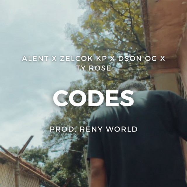 Codes cover art