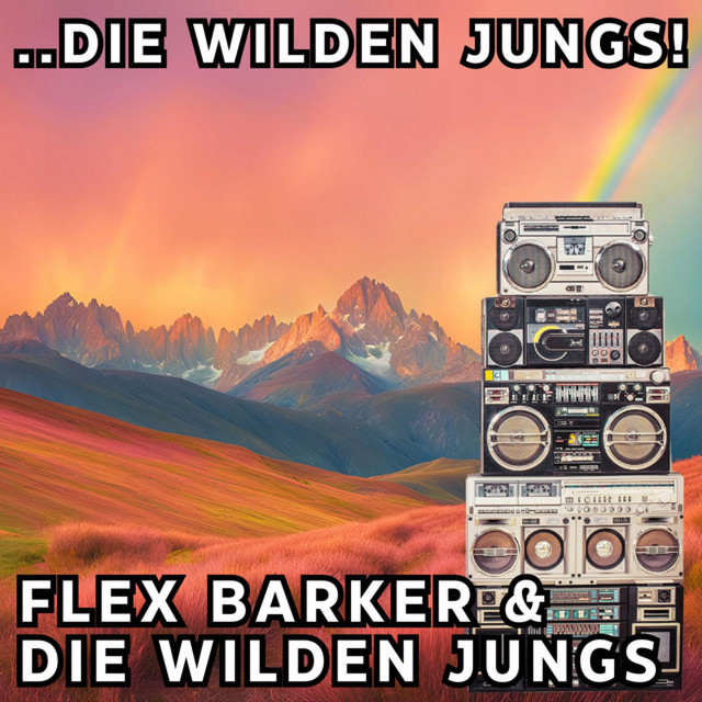 ..die wilden Jungs! cover art
