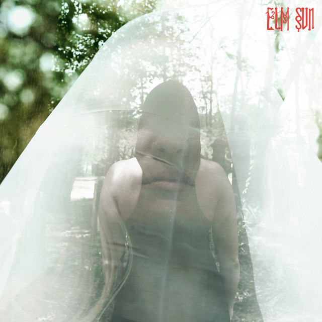 P E R F E C T cover art