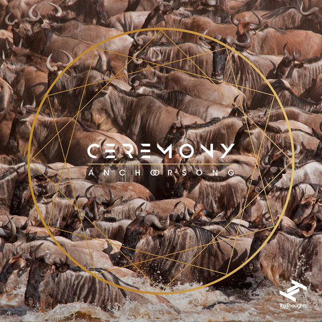 Ceremony cover art