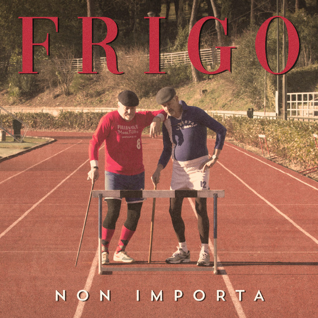 Non importa cover art