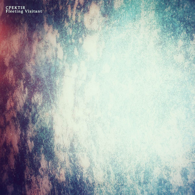 Fleeting Visitant cover art