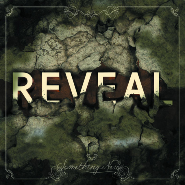 Something New {Deluxe Edition} cover art