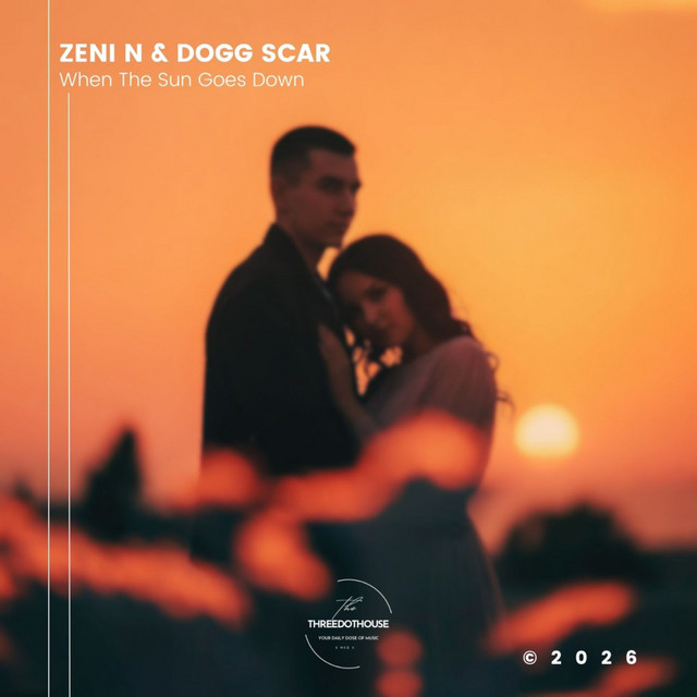 When the Sun Goes Down - Zeni N Remix album art
