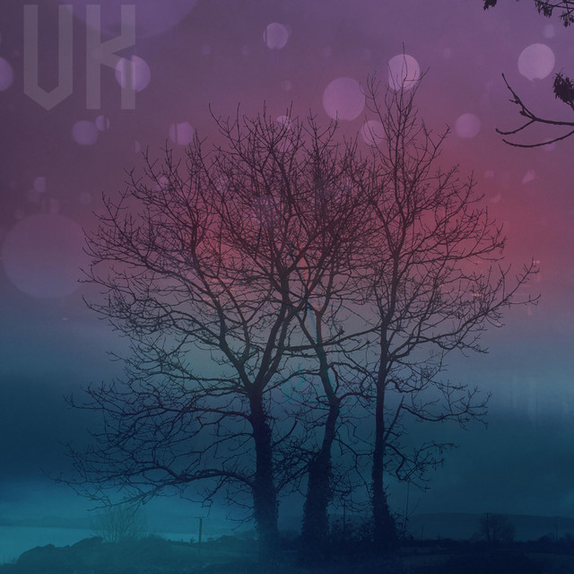 2-48 cover art