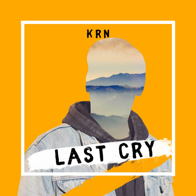 Last cry album image