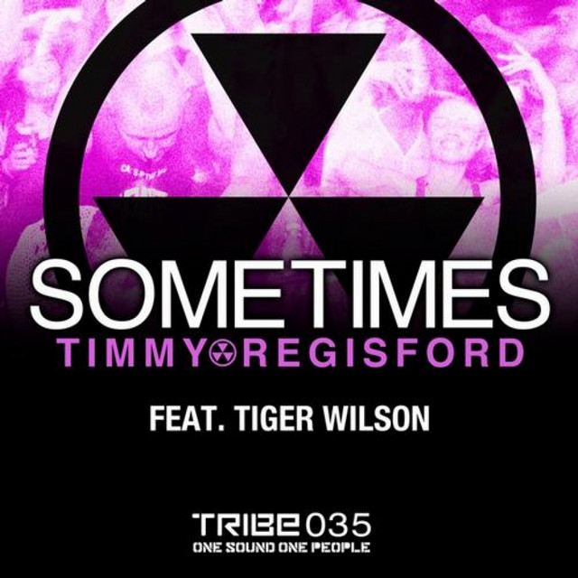 Sometimes - Terry Hunter's Bang the Vocalmix cover art