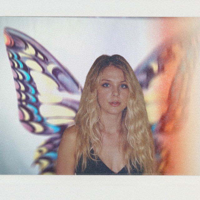 How I Became A Butterfly cover