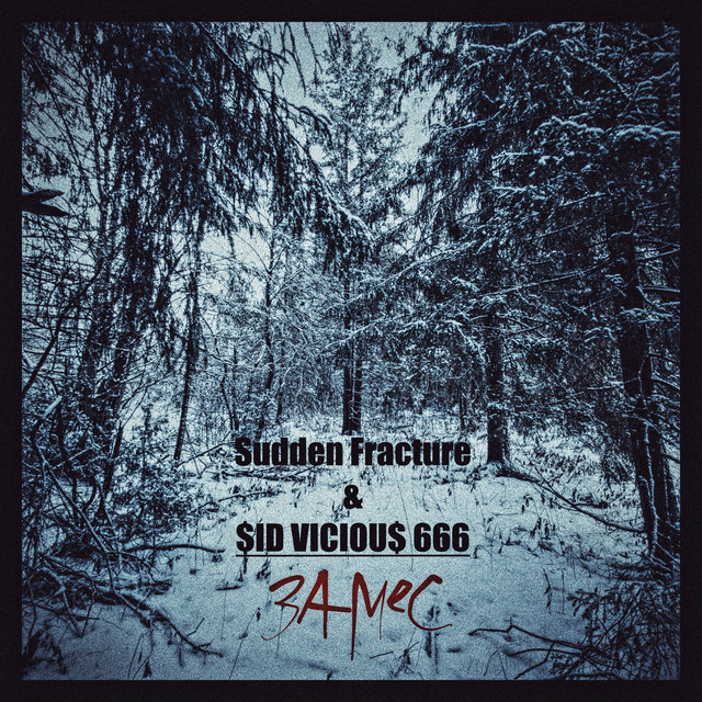 Обкладинка: Замес — Sudden Fracture