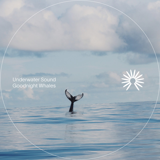 Goodnight Whales cover art