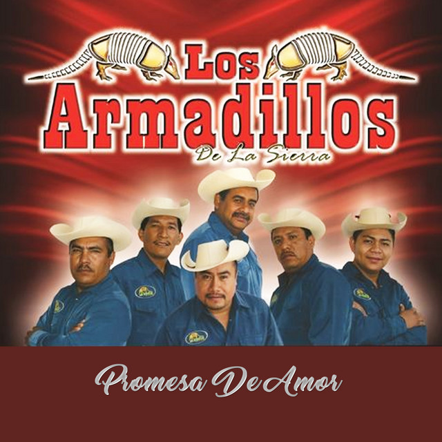 Promesa de Amor - song and lyrics by Los Armadillos de la Sierra | Spotify