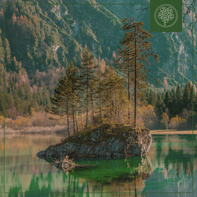 Mellow Pine cover art