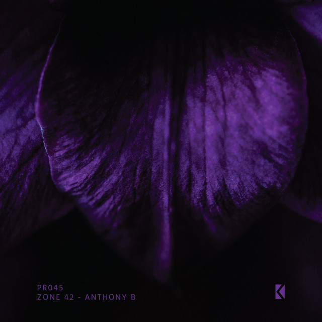 Anthony B
