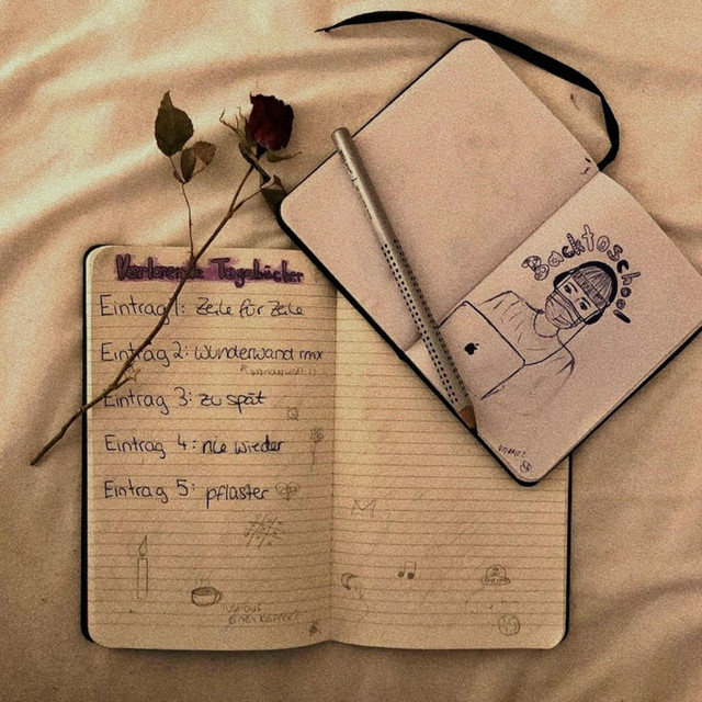 Verlorene Tagebücher cover art