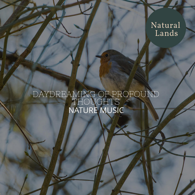 The Bird Planet cover art