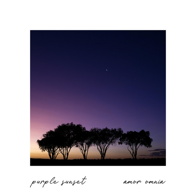 Purple Sunset