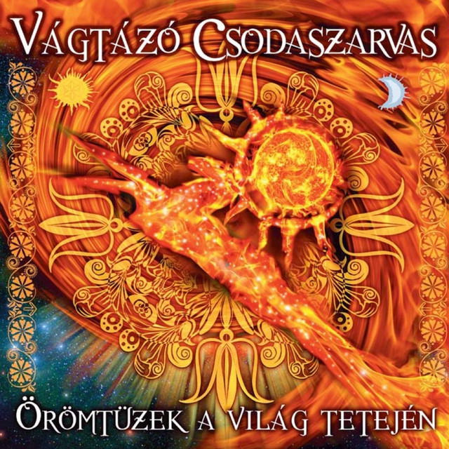 Vágtázó Csodaszarvas Photo