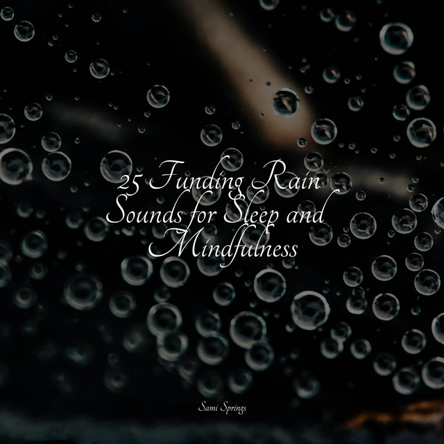 25 Funding Rain Sounds for Sleep and Mindfulness cover art