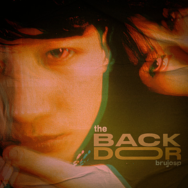 The Backdoor cover art