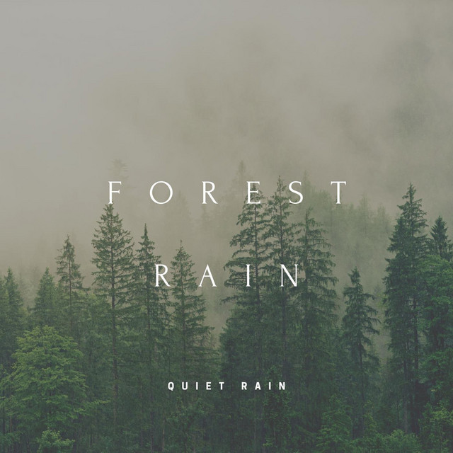 Forest Rain cover art