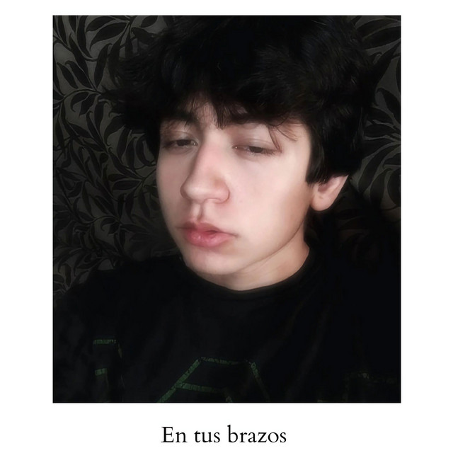 en tus brazos cover art