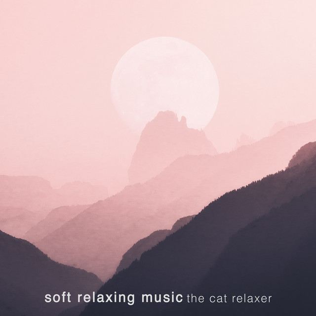 Soft Relaxing Music – EP de The Cat Relaxer | Spotify