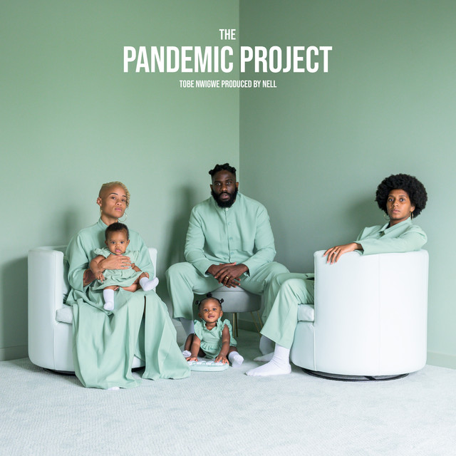 THE PANDEMIC PROJECT cover art