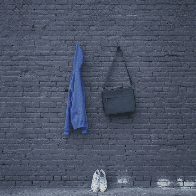 Why Did You Do It? cover art