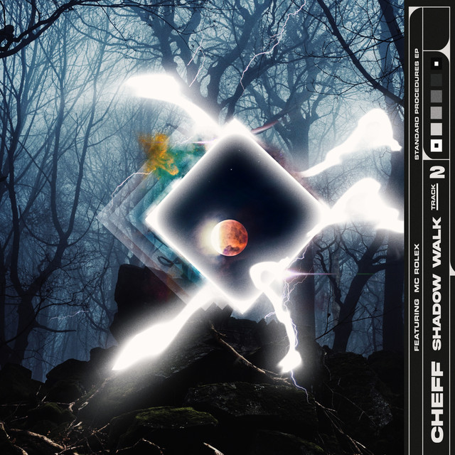 Shadow Walk cover art