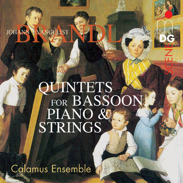 Brandl: Quintets for Bassoon, Piano and Strings, Vol. 2 cover art