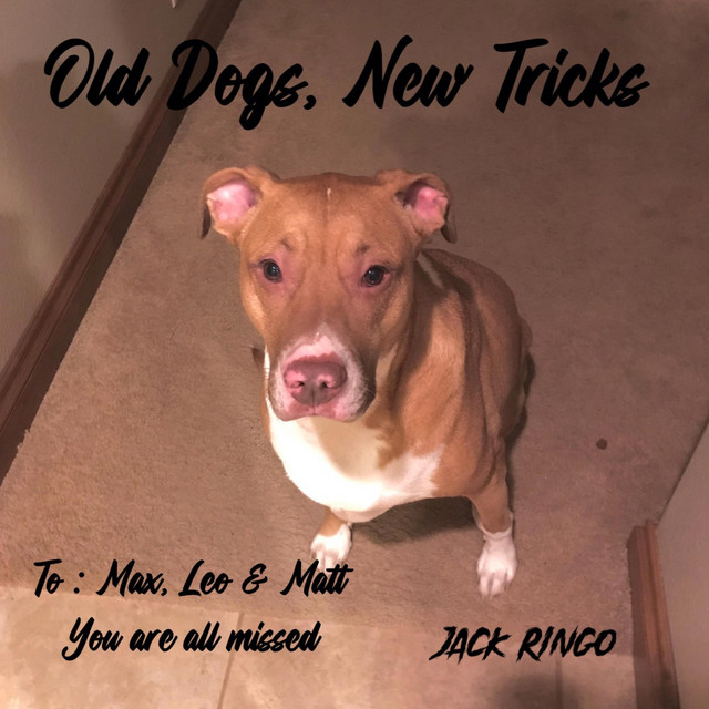 Old Dogs, New Tricks cover art