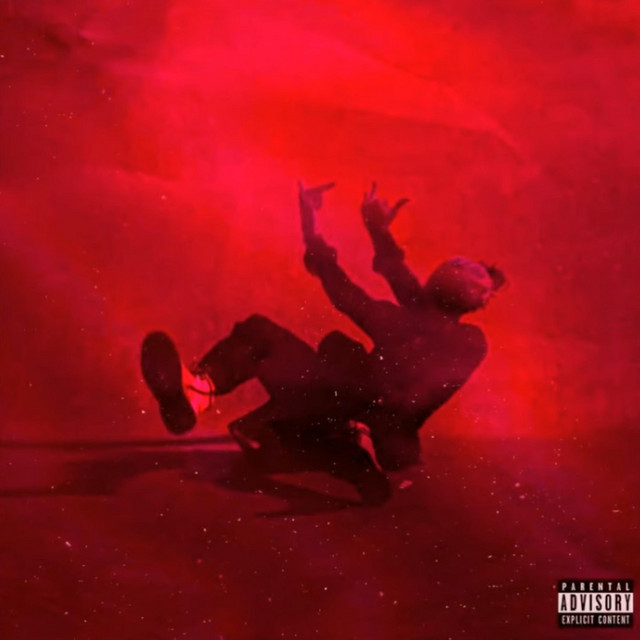 bowserer cover art