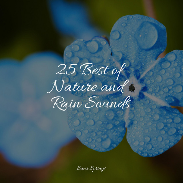 25 Best of Nature and Rain Sounds - Compilation by Soothing Baby Music ...