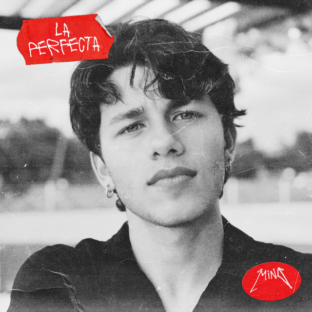 La Perfecta