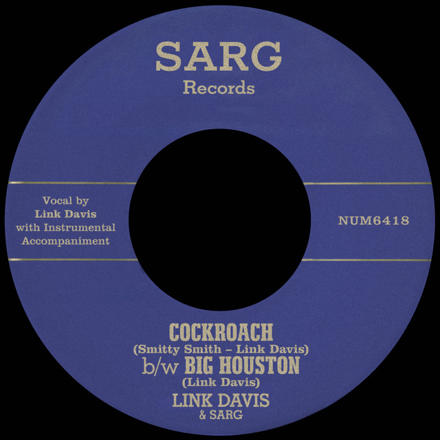 Cockroach b/w Big Houston cover