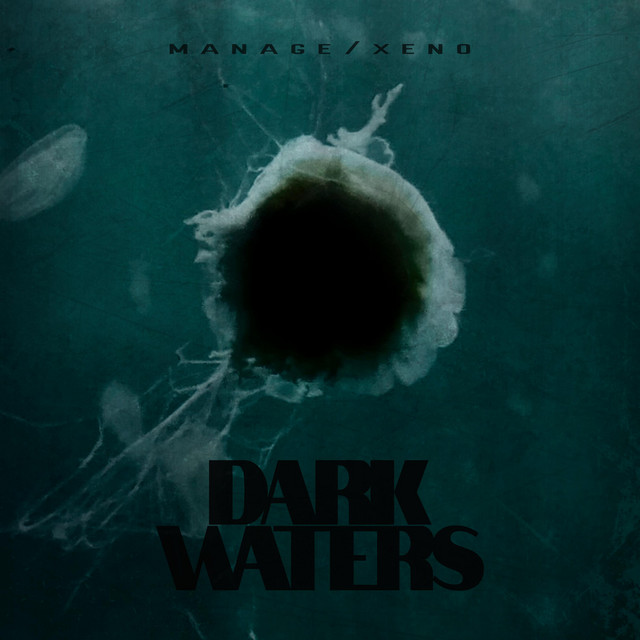 Dark Waters cover
