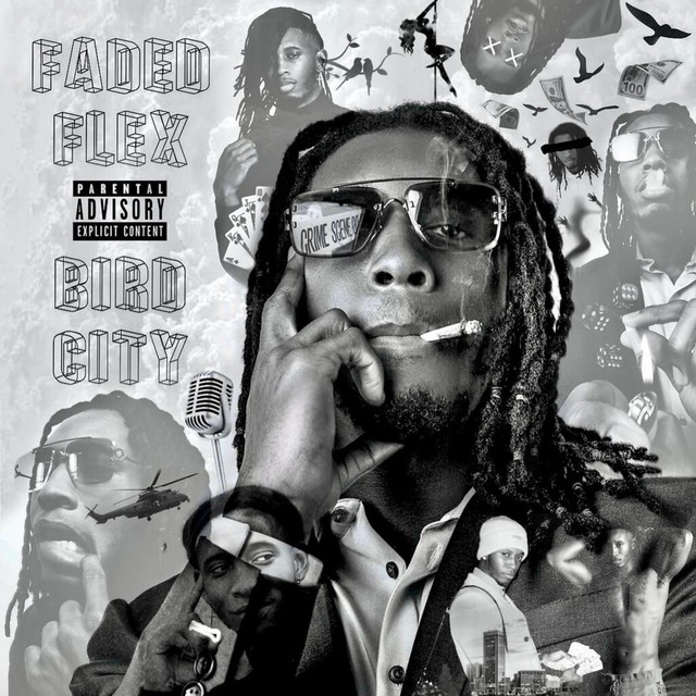 Bird City cover art