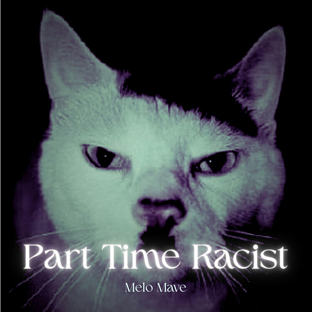 Part Time Racist - song and lyrics by Melo Mave | Spotify