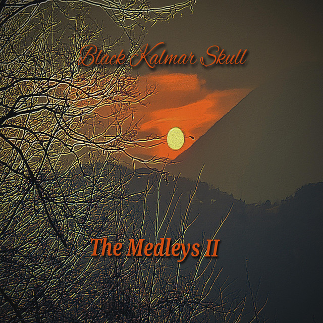 The Medleys II (single)