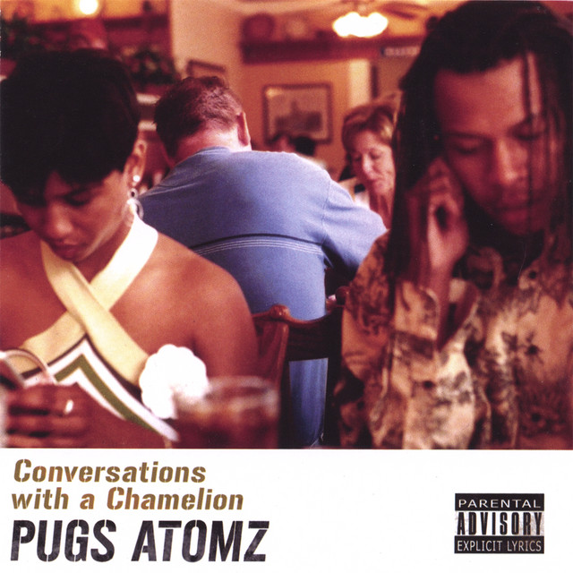 Conversations With A Chamelion cover art