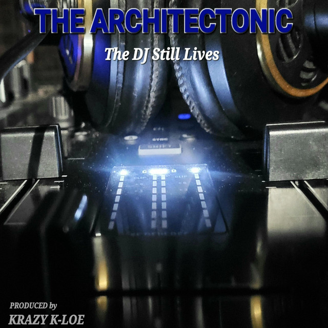 The DJ Still Lives cover art