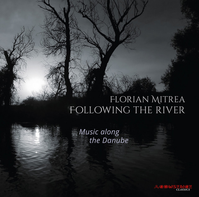 Cover du titre Toccata "Joc dobrogean"