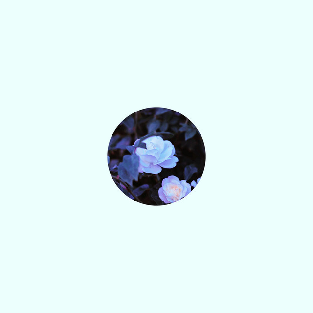 Wozes Too cover art