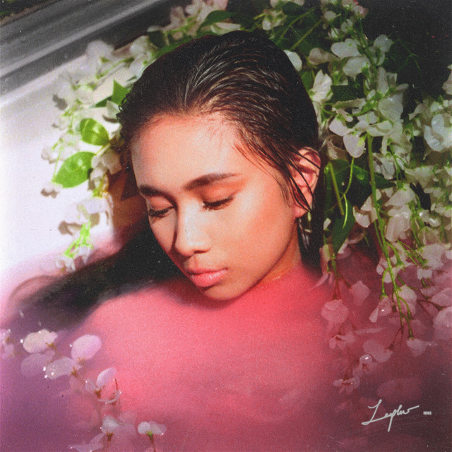 Zephyr cover art