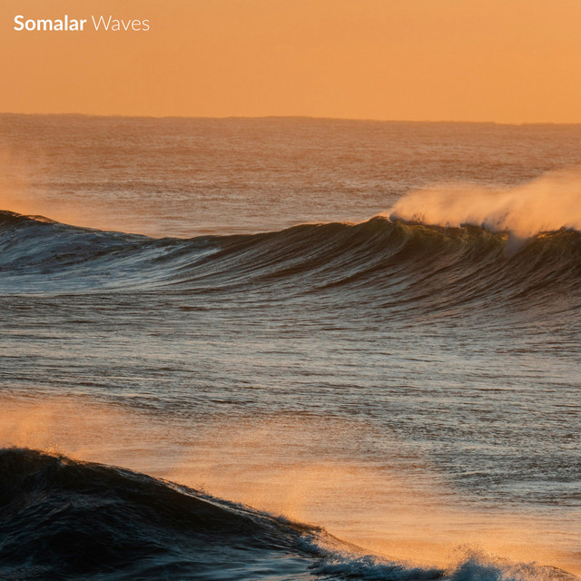 Waves cover art